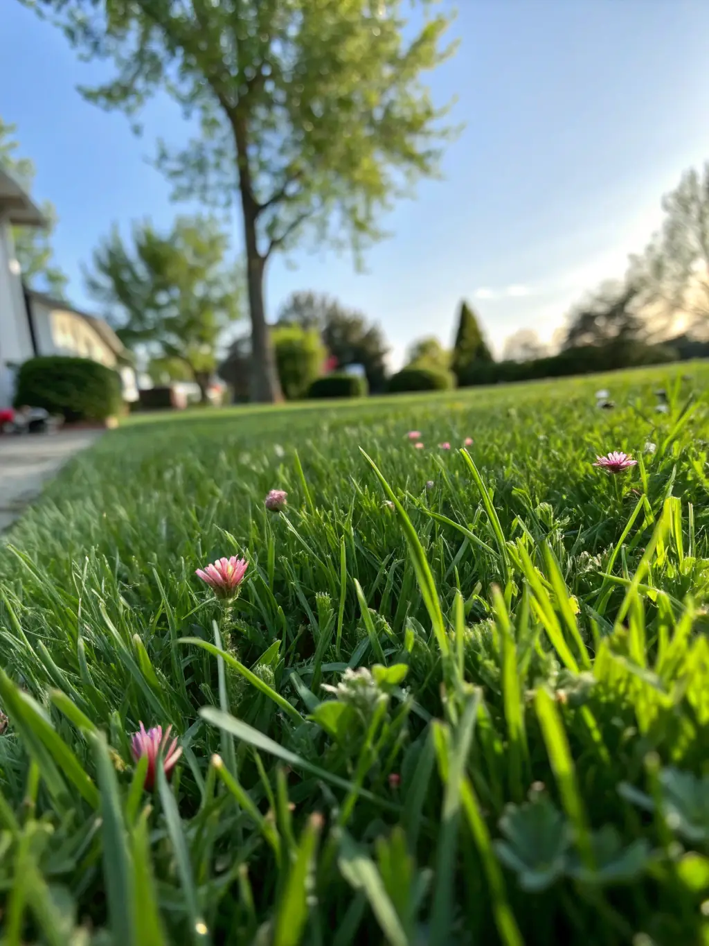 A lush, green lawn being efficiently watered by a well-maintained irrigation system, highlighting water conservation.